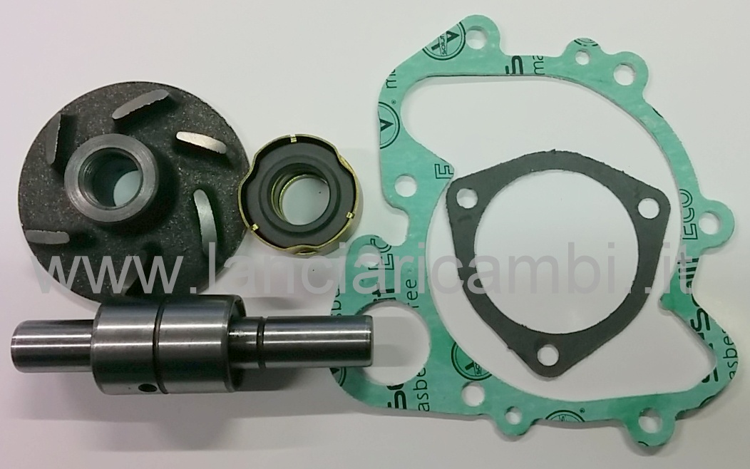 CAV997 - Overhaul kit for Lancia Gamma water pump