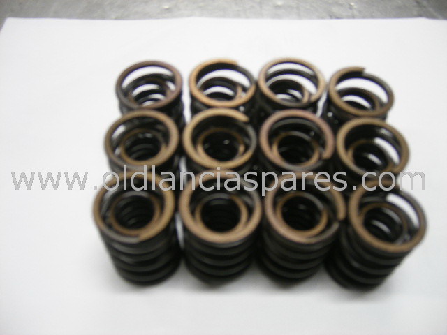 cav488 - valves springs set