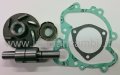 Overhaul kit for Lancia Gamma water pump