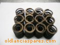 valves springs set