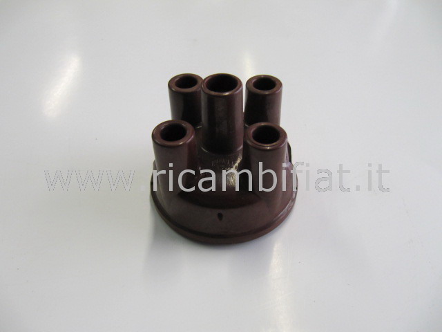 calotta spinterogeno